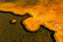 1_Yellowstone-2011-7715