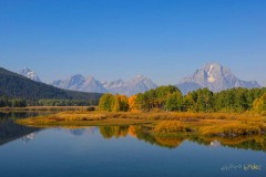 1_Yellowstone-2011-8499