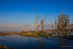 Yellowstone-2011-3286
