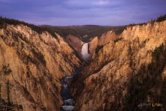 Yellowstone-2011-4239