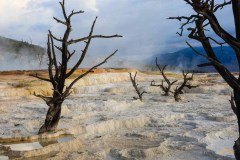 Yellowstone-2011-4451
