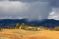 Yellowstone-2011-5531