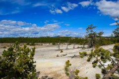 Yellowstone-2011-5747