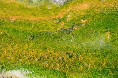 Yellowstone-2011-5820