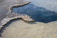 Yellowstone-2011-7722